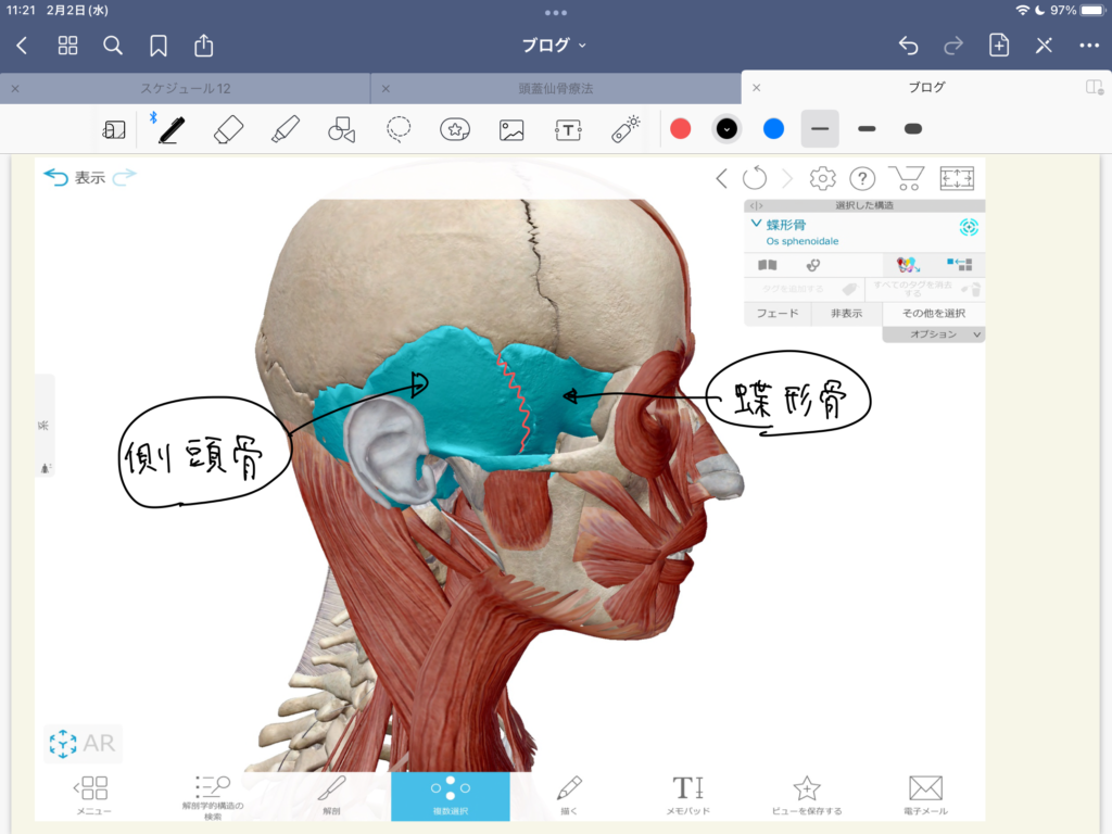 副作用とリスク